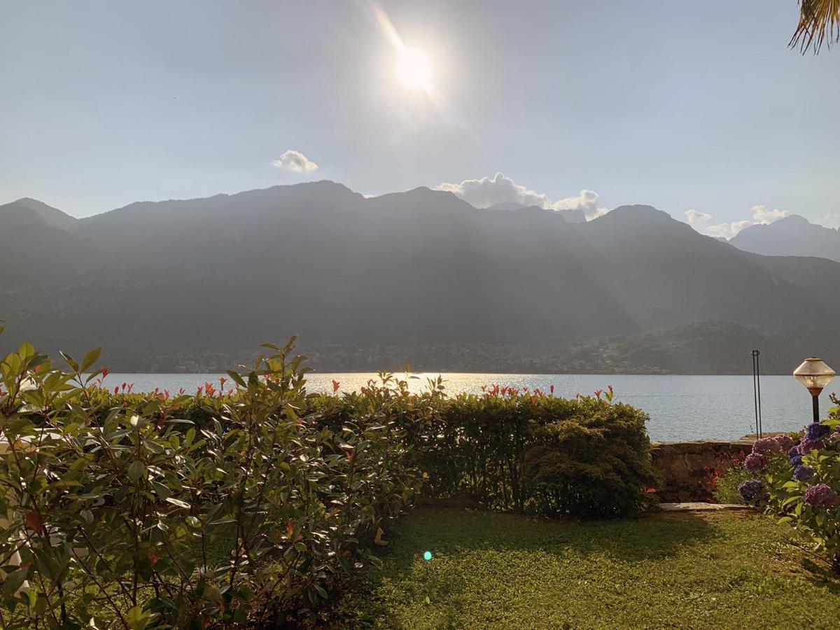 Terrace On The Lake Apartamento Oliveto Lario Exterior foto